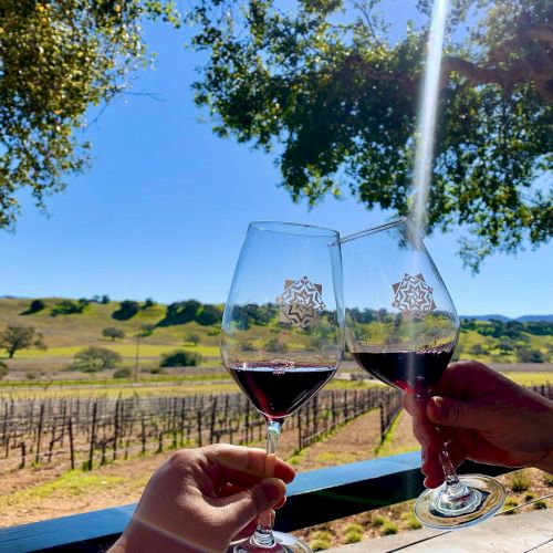 Two hands clink glasses of red wine with a scenic vineyard and rolling hills in the background under a clear blue sky.