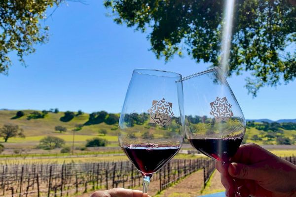 Two people clinking wine glasses in a scenic vineyard setting with clear skies and lush green fields in the background.