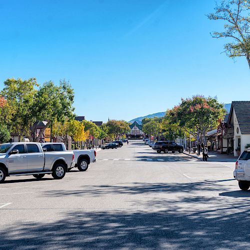 A quiet street lined with trees and parked cars on a sunny day, featuring shops and buildings along either side, with a clear blue sky above.