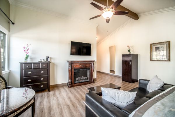 A modern living room with a ceiling fan, TV, fireplace, dresser, sofa, table, and wall art with light-colored flooring and an orchid in a vase.