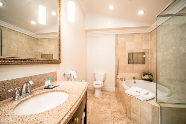 This image shows a bathroom with a granite countertop, a large mirror, a toilet, a bathtub, and a glass-enclosed shower, all in a bright, clean setting.